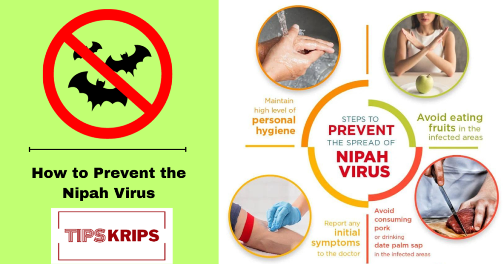 How to Prevent the Nipah Virus