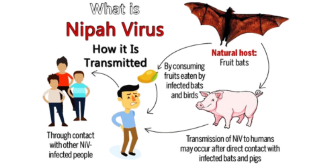 Can a Person Survive with Nipah Virus Infection