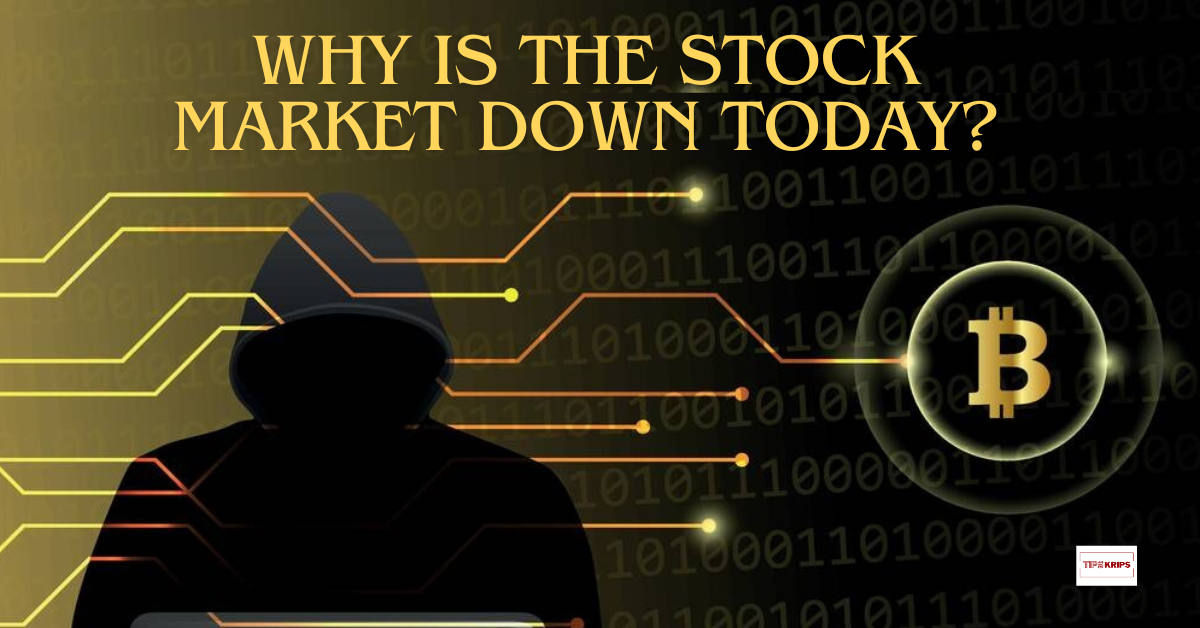 Why is the Stock Market Down Today?